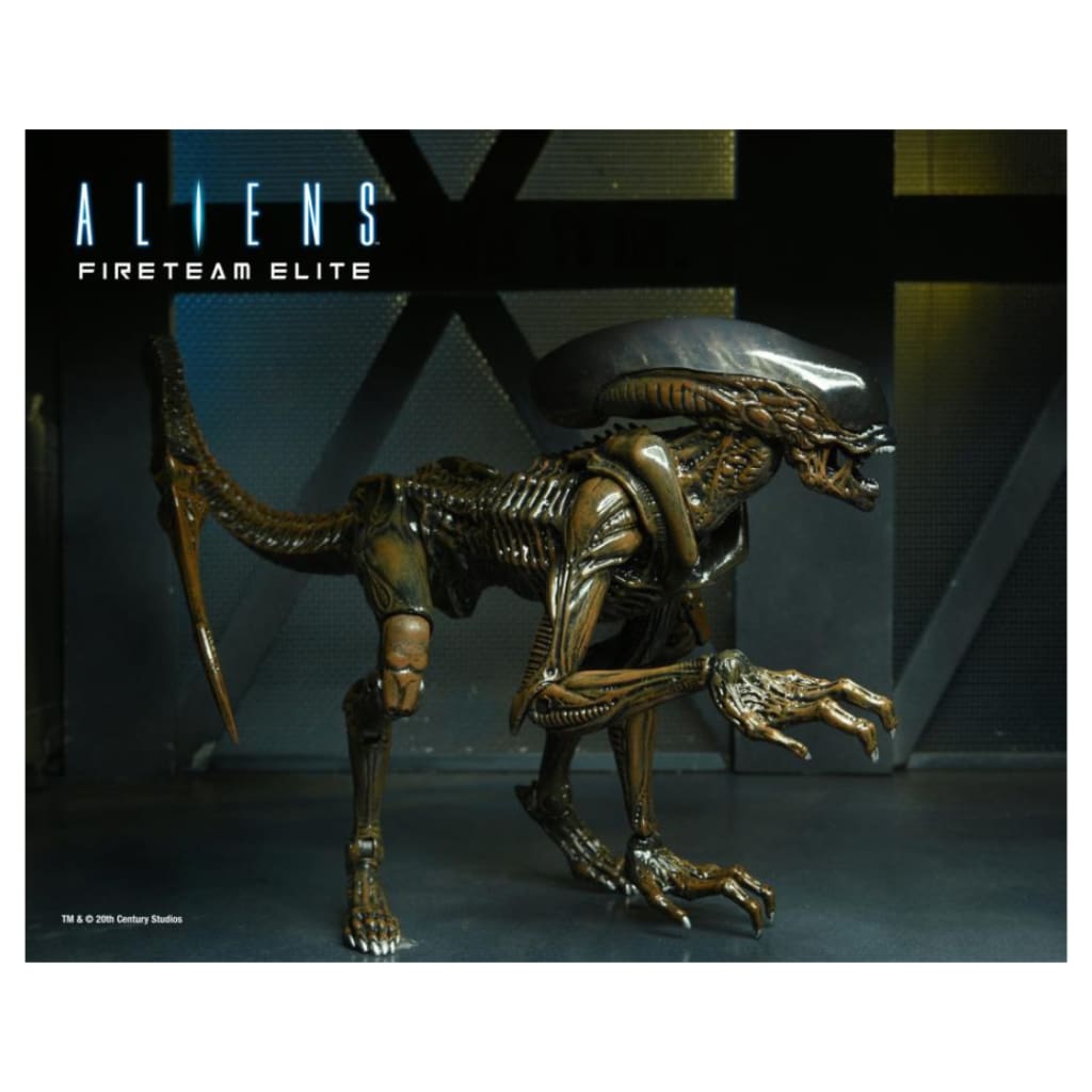 Aliens: Fireteam Elite Runner Alien Action Figure