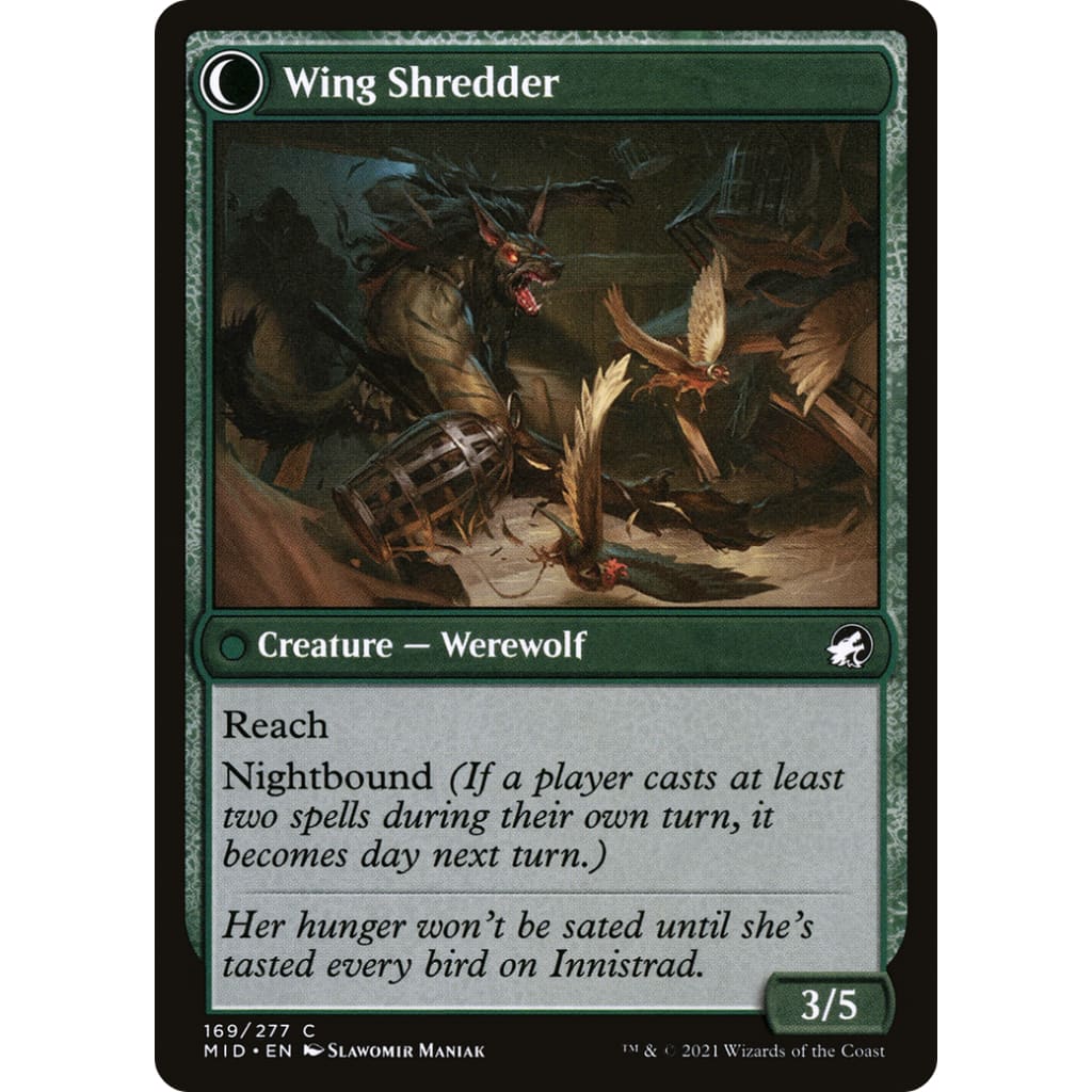 Bird Admirer // Wing Shredder (MID-169): (Double Faced
