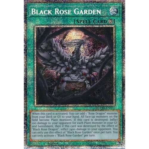 Black Rose Garden (Starlight Rare) - DOOD-EN055 Starlight