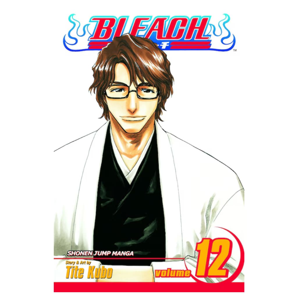 Bleach Vol. 12