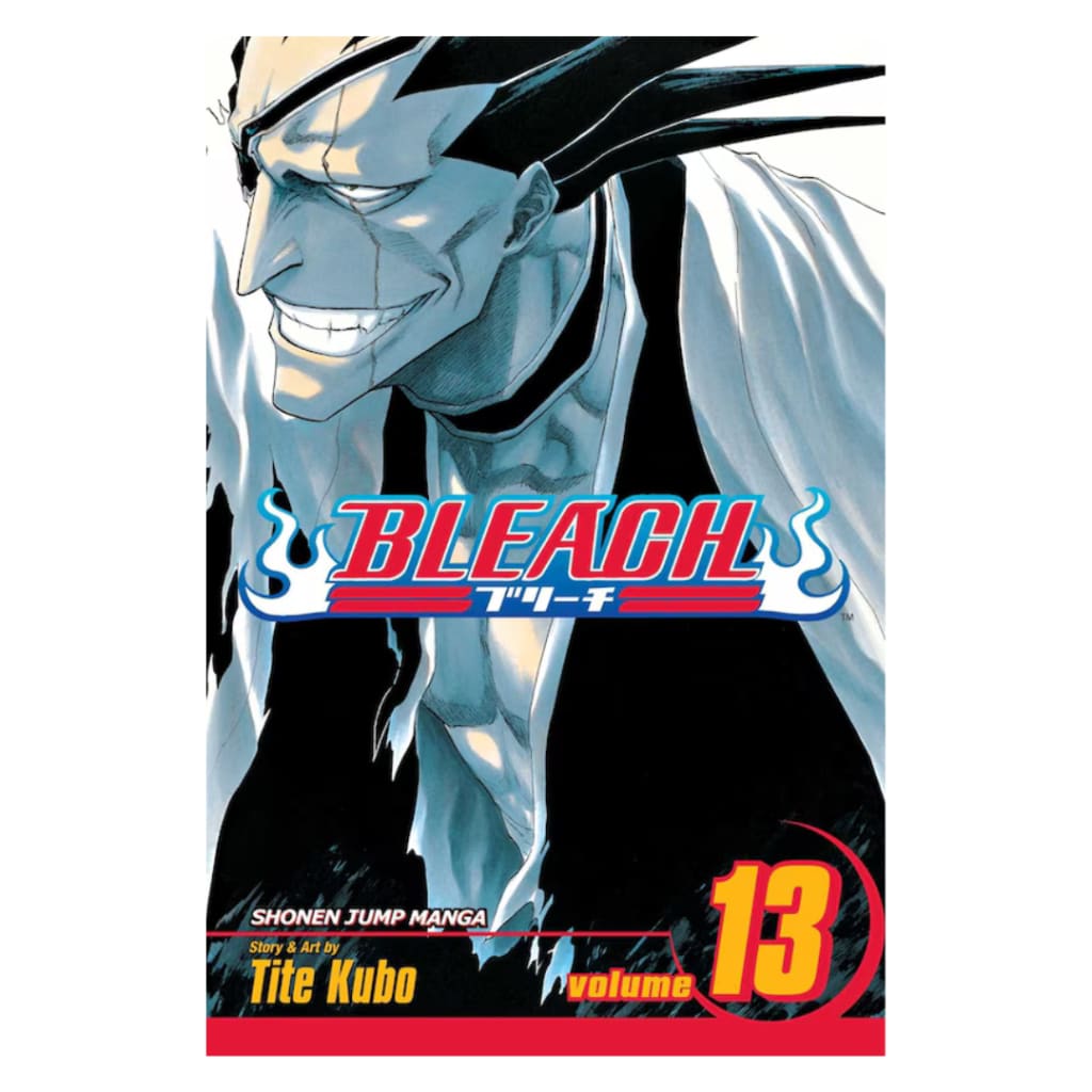 Bleach Vol. 13