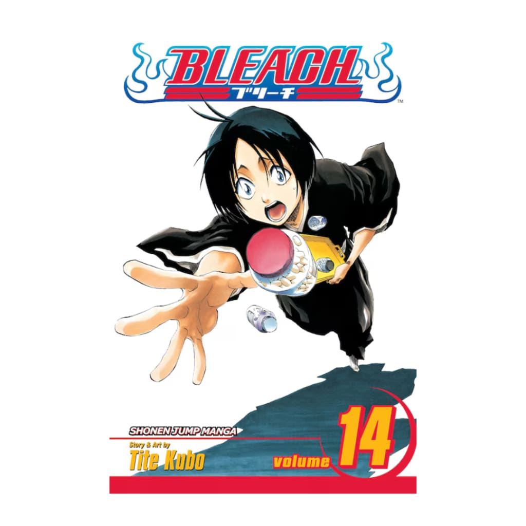Bleach Vol. 14
