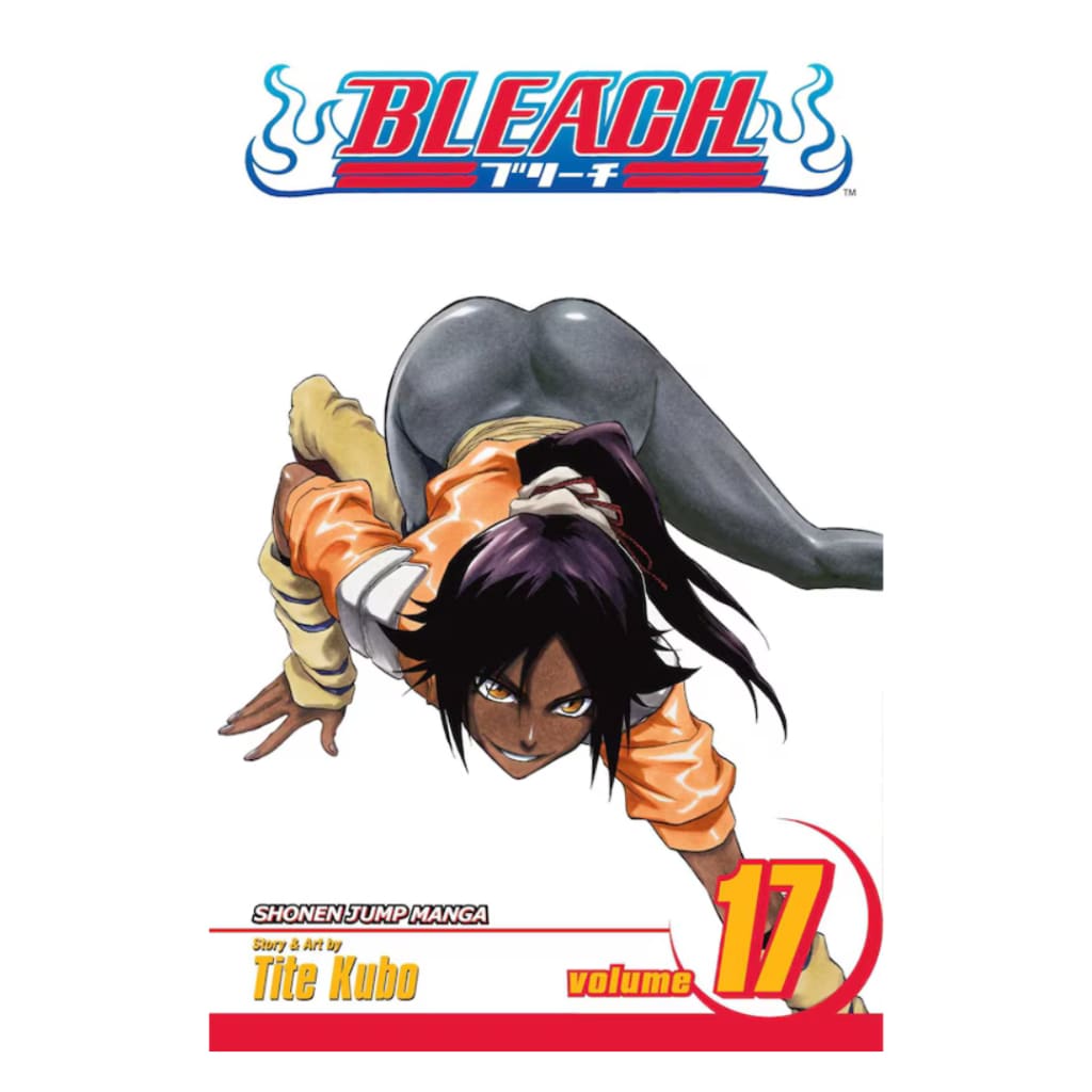 Bleach Vol. 17