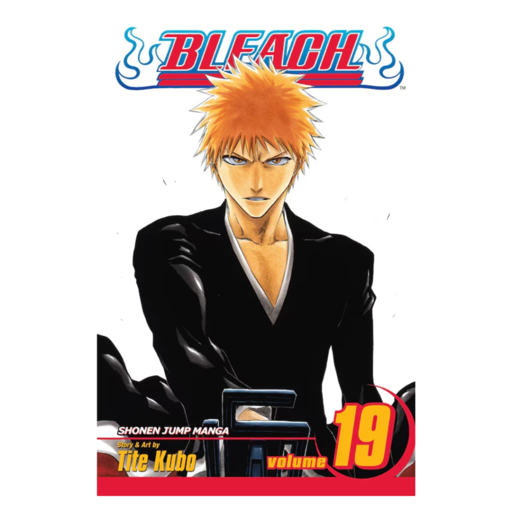 Bleach Vol. 19