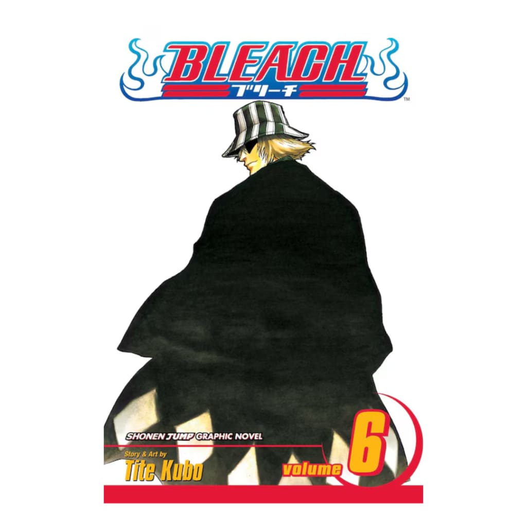 Bleach Vol. 6
