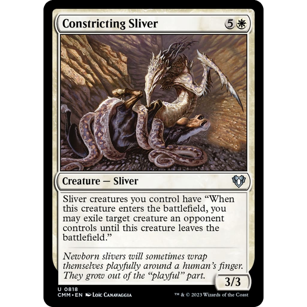 Constricting Sliver (CMM-818) - Single
