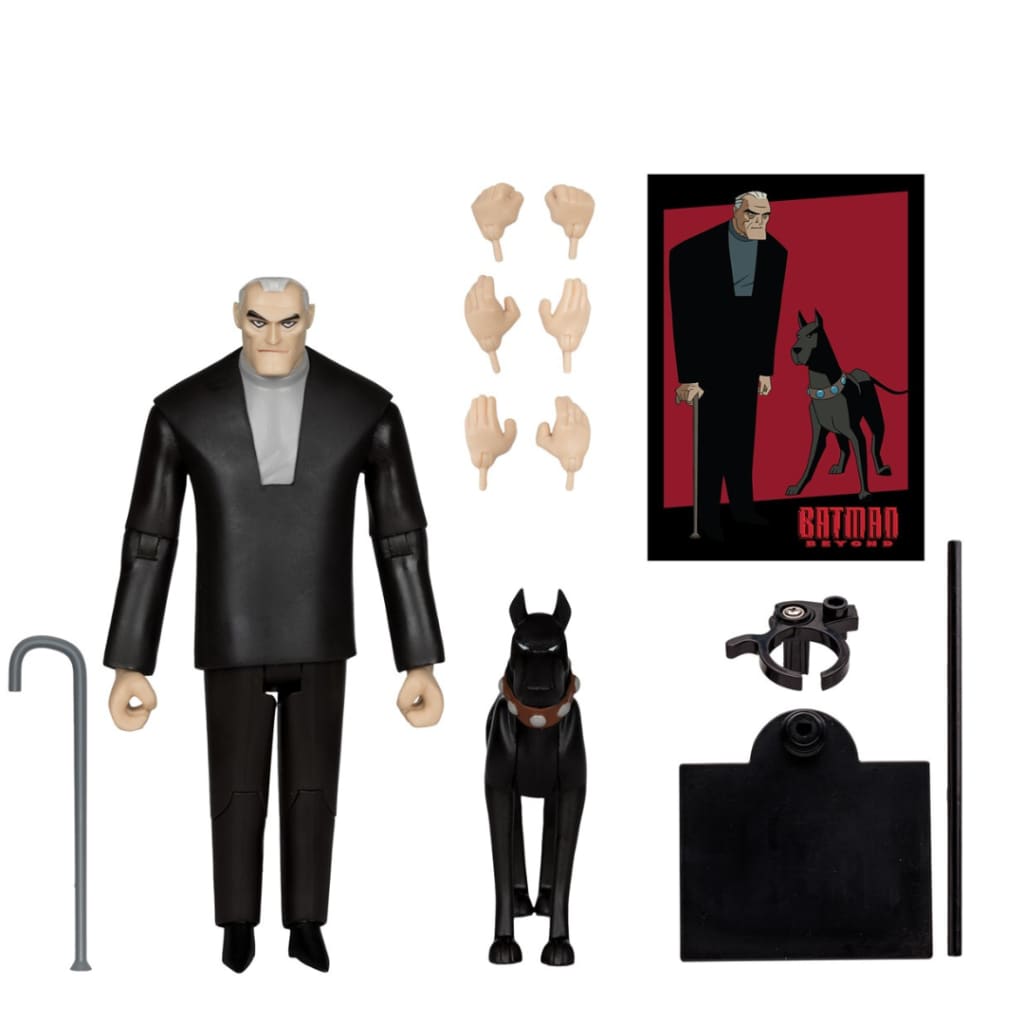 DC Direct Bruce Wayne & Ace (Batman Beyond) 6-Inch Scale