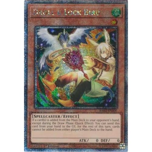 Droll & Lock Bird (Alternate Art) (Quarter Century Secret