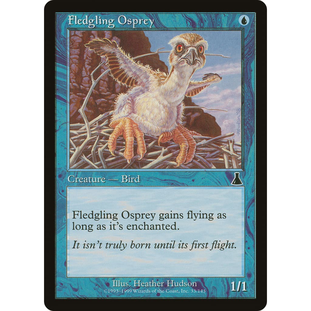 Fledgling Osprey (UDS-033) - Single