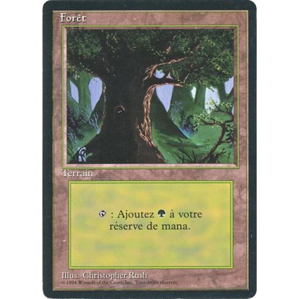 Forest (FBB-306) - Single