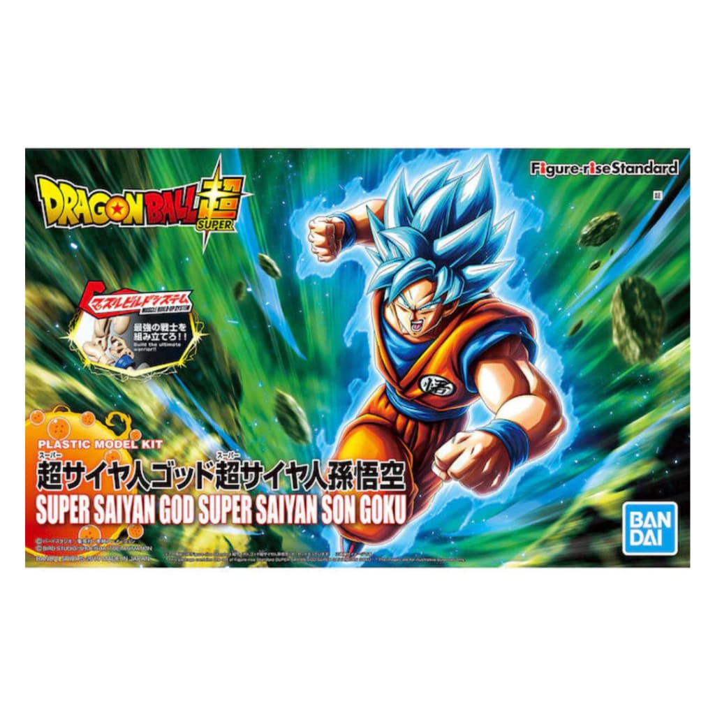 FR - Super Saiyan God Son Goku - Dragon Ball