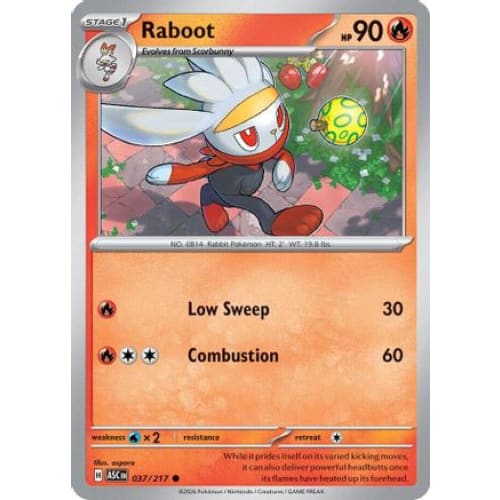 Raboot (37) Common - Single