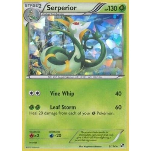 Serperior - 5/114 (Cracked Ice Holo) (5) Holo Rare Holofoil
