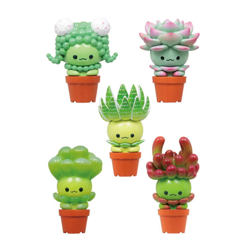 Succulent Friends Blind Box