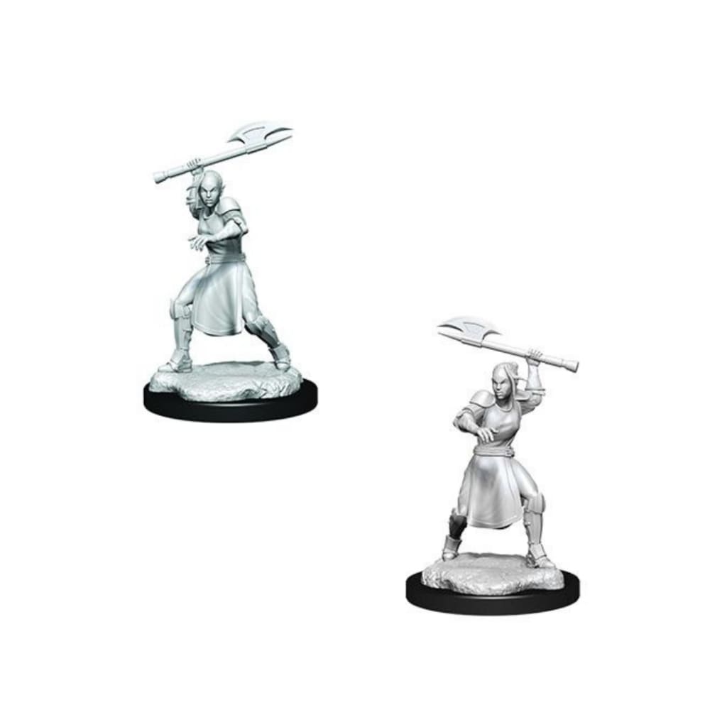 Critical Role Unpainted Miniatures: Half Elf Echo Knight
